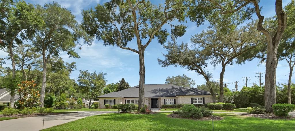 a view of a big yard in front of a house with plants and large trees