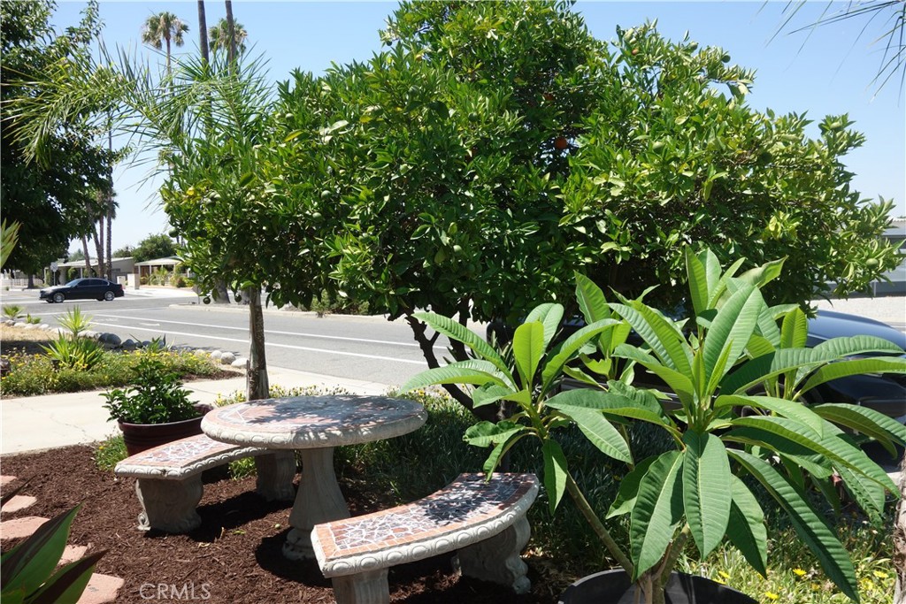 a view of a backyard with plants and chairs