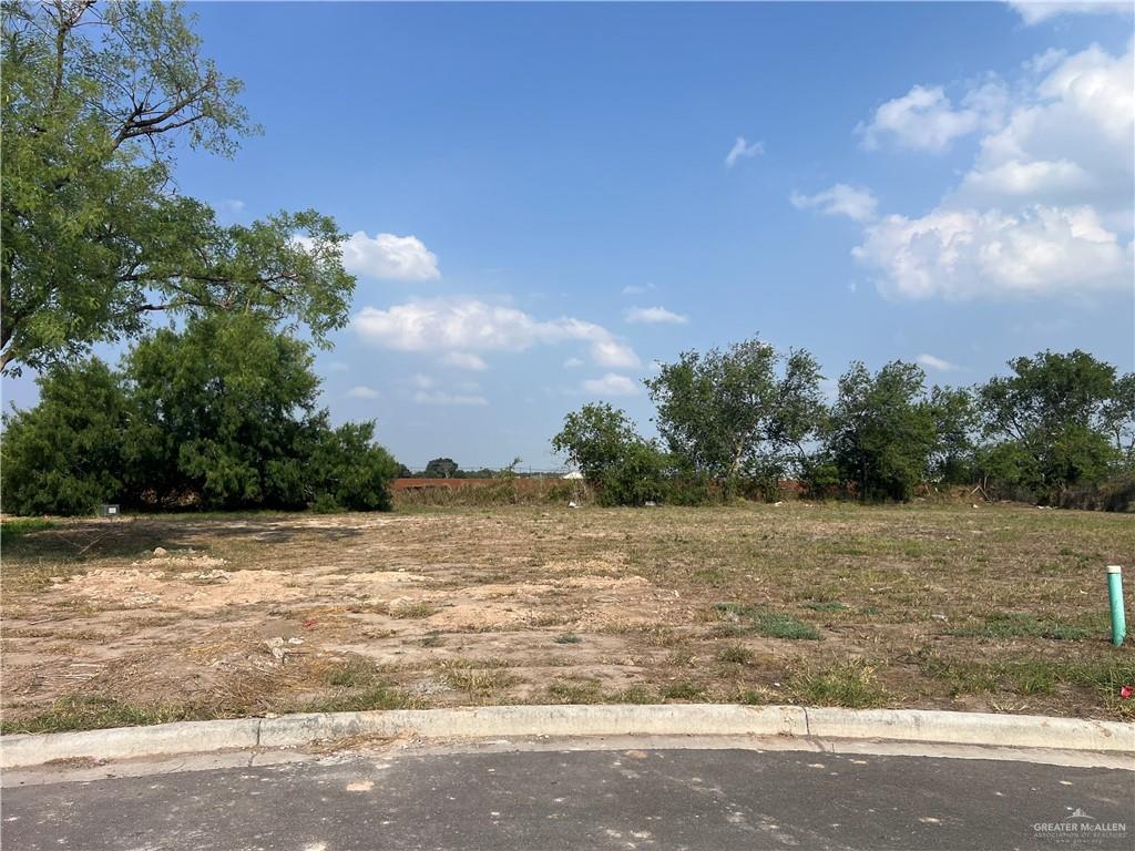 a view of a lake and yard