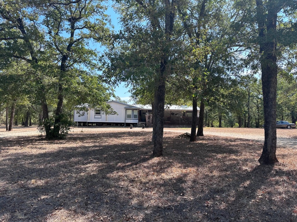 a street view with large trees