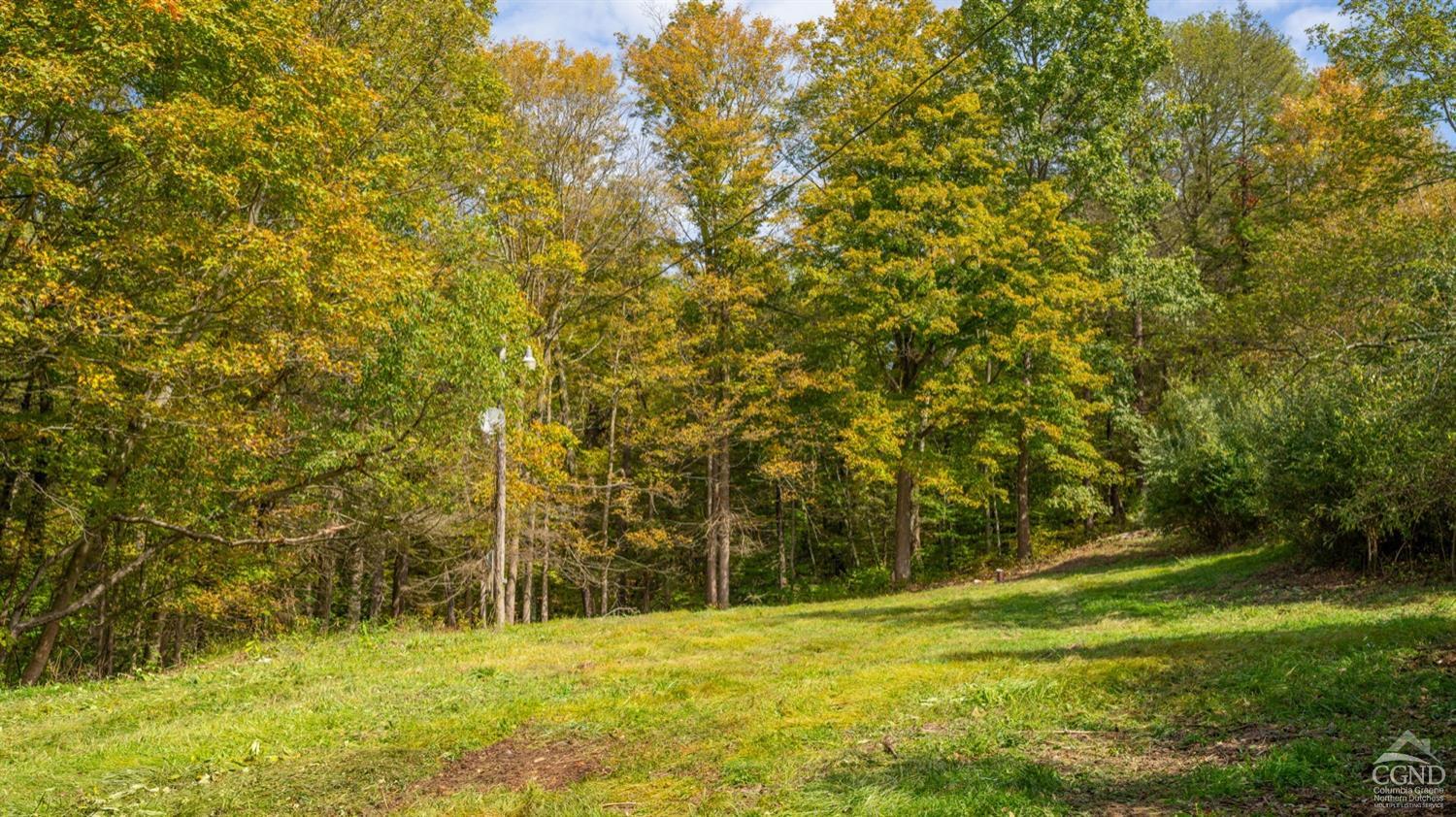 a view of a field with trees in the background