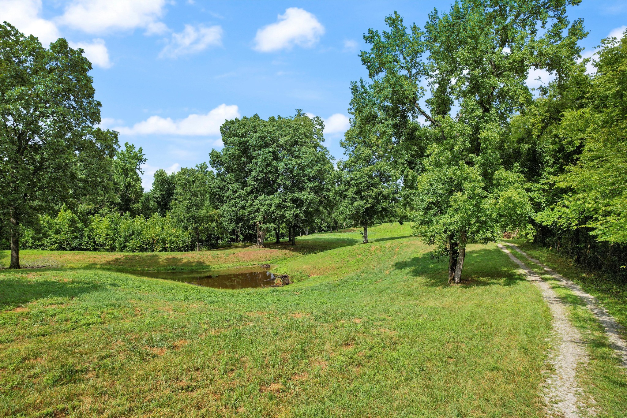 a view of a field with a tree