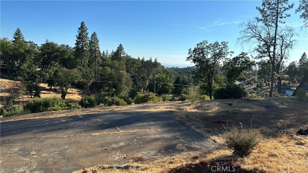 a view of a dirt road with trees in the background