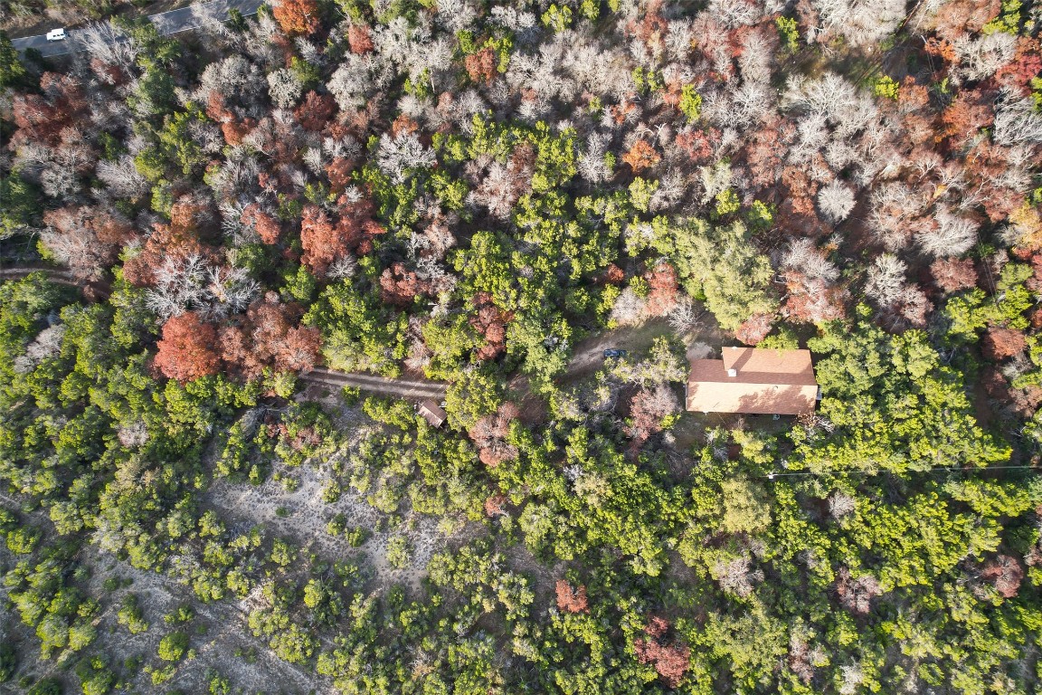 a backyard of a house with a lots of plants