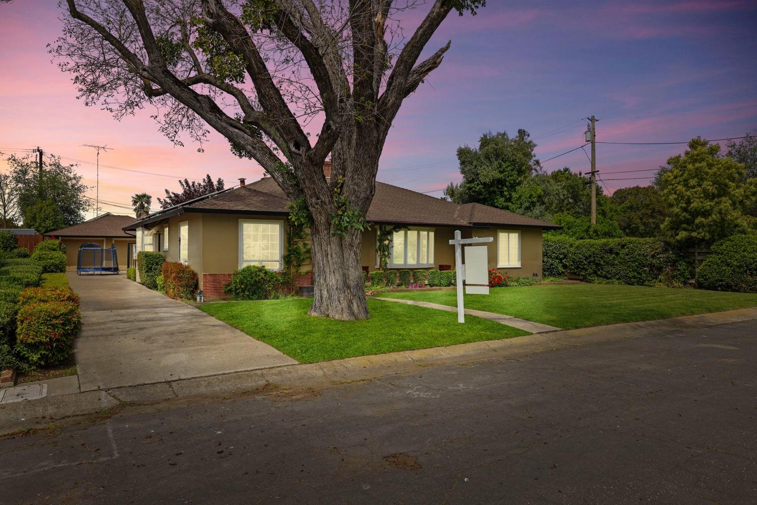 a view of a house with a yard and large tree