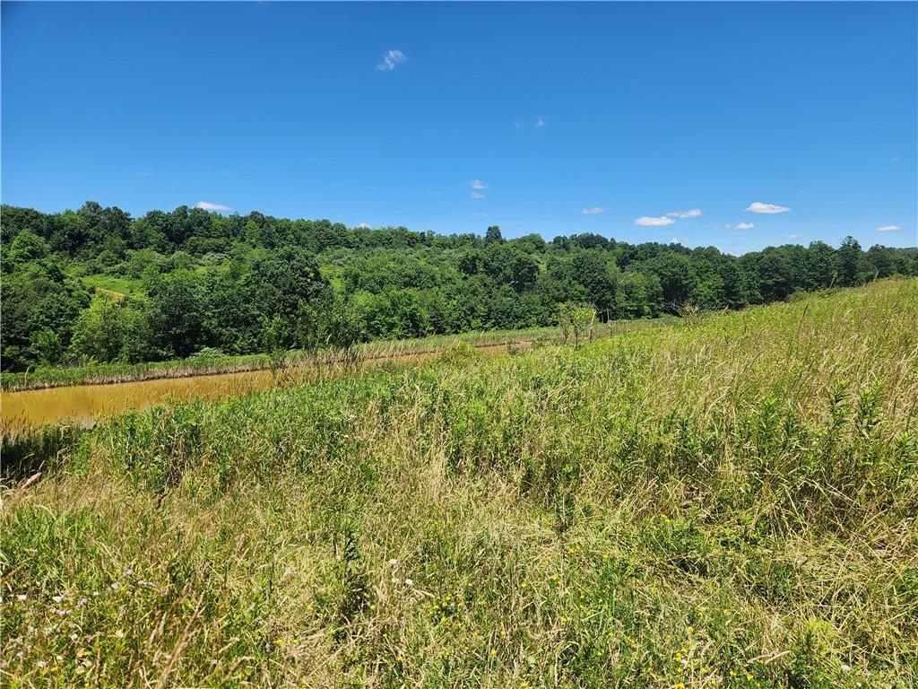 a view of a field with an ocean