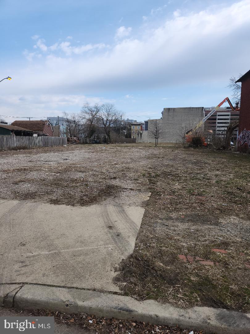 a view of a dry yard with trees