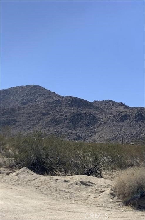 a view of a dry yard with mountain view