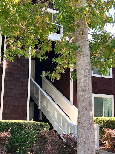 a view of a house with a tree