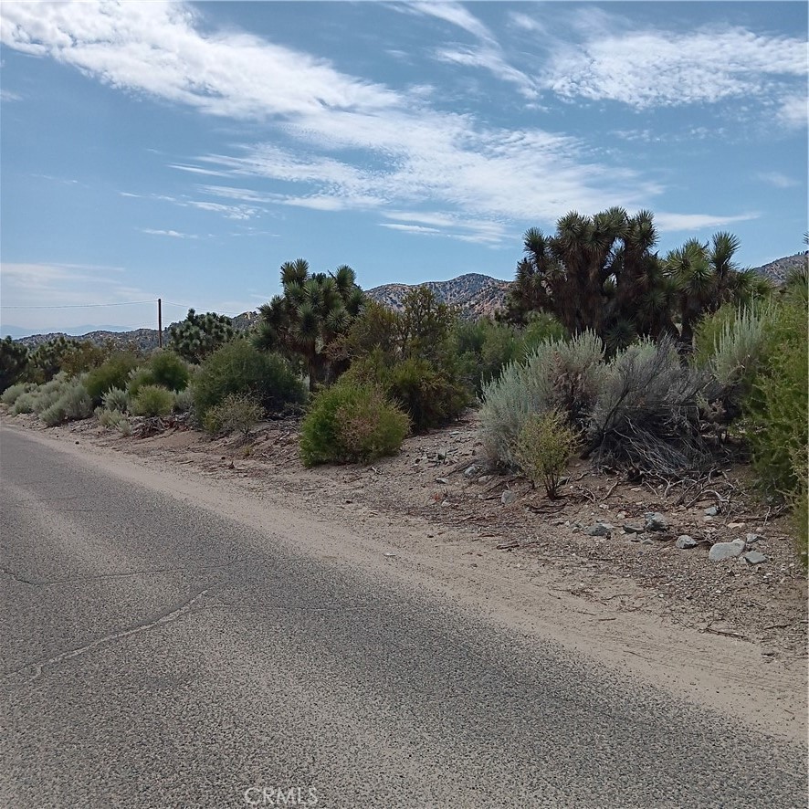 a view of a rural road with plants