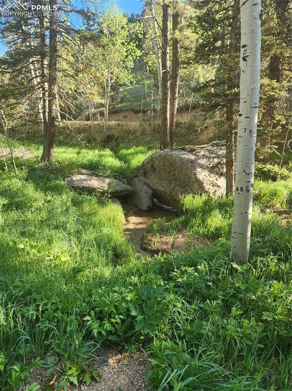 a view of a garden with a tree