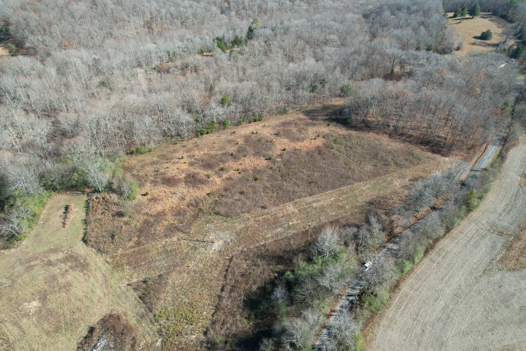 a view of a dry field with trees in the background