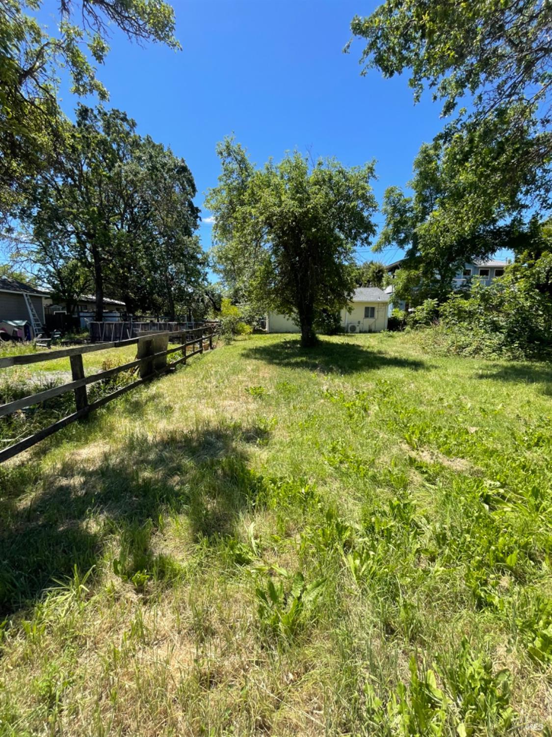 a view of a garden with trees