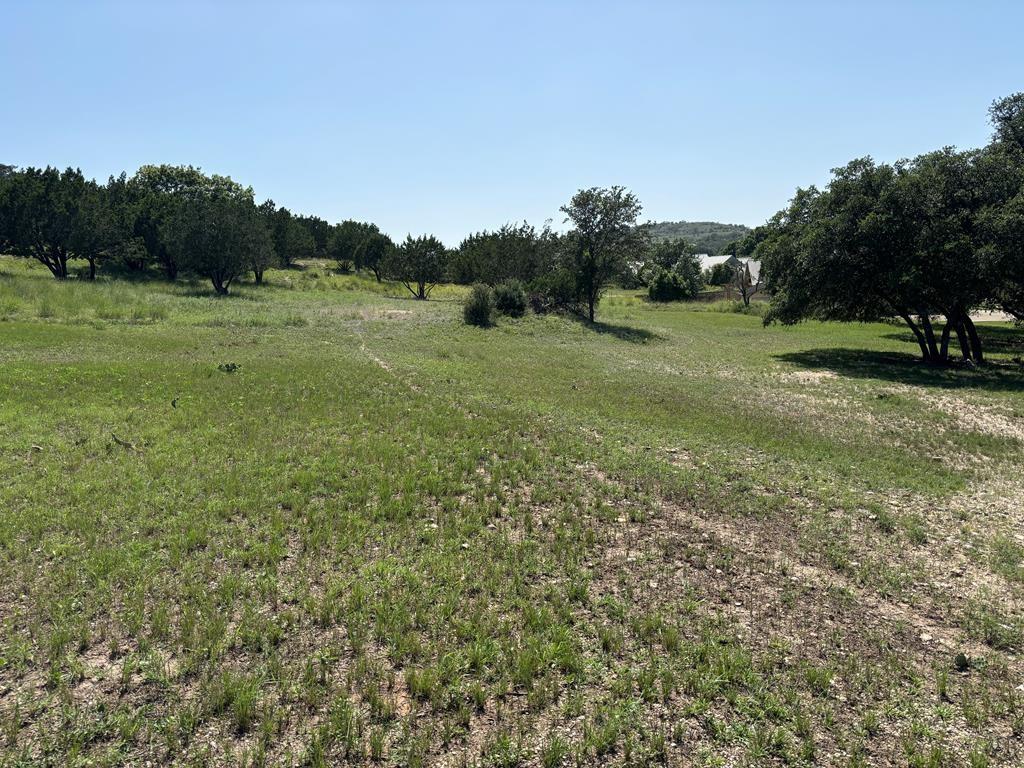 a view of a field with trees in background