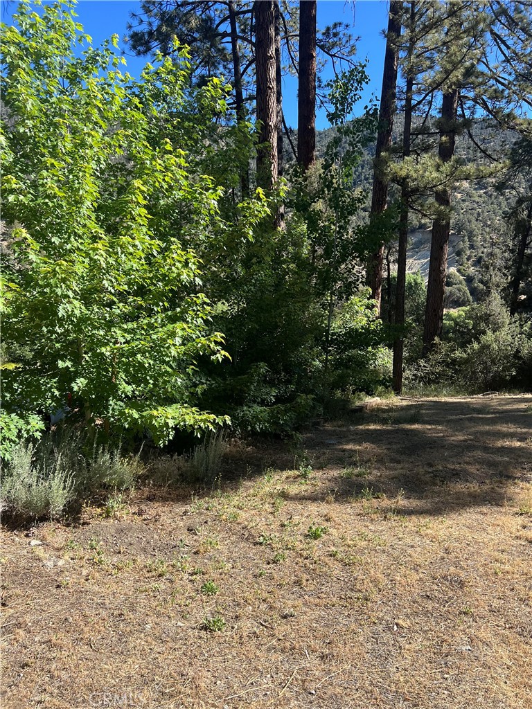 a view of backyard with green space