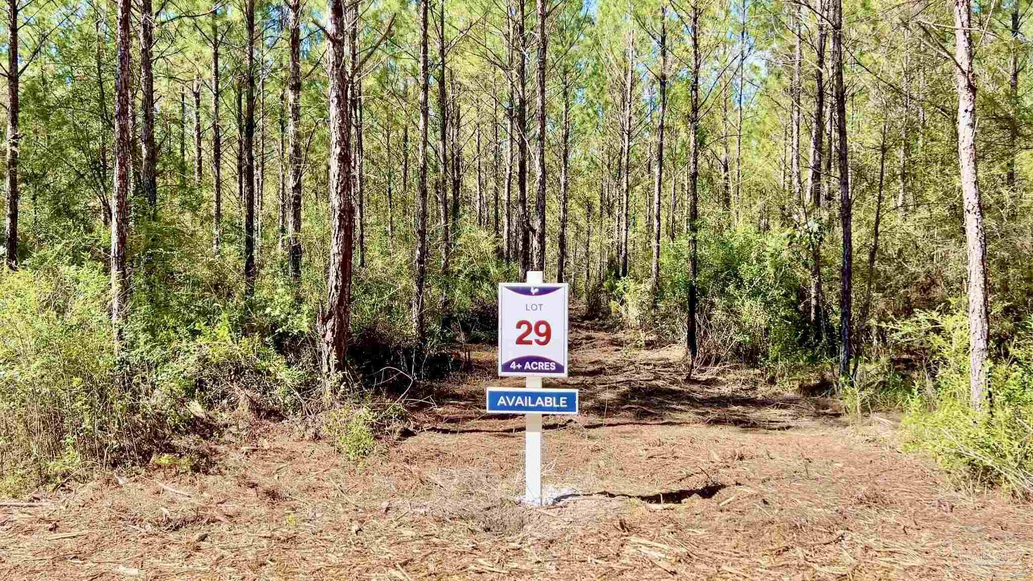 a sign board with large trees