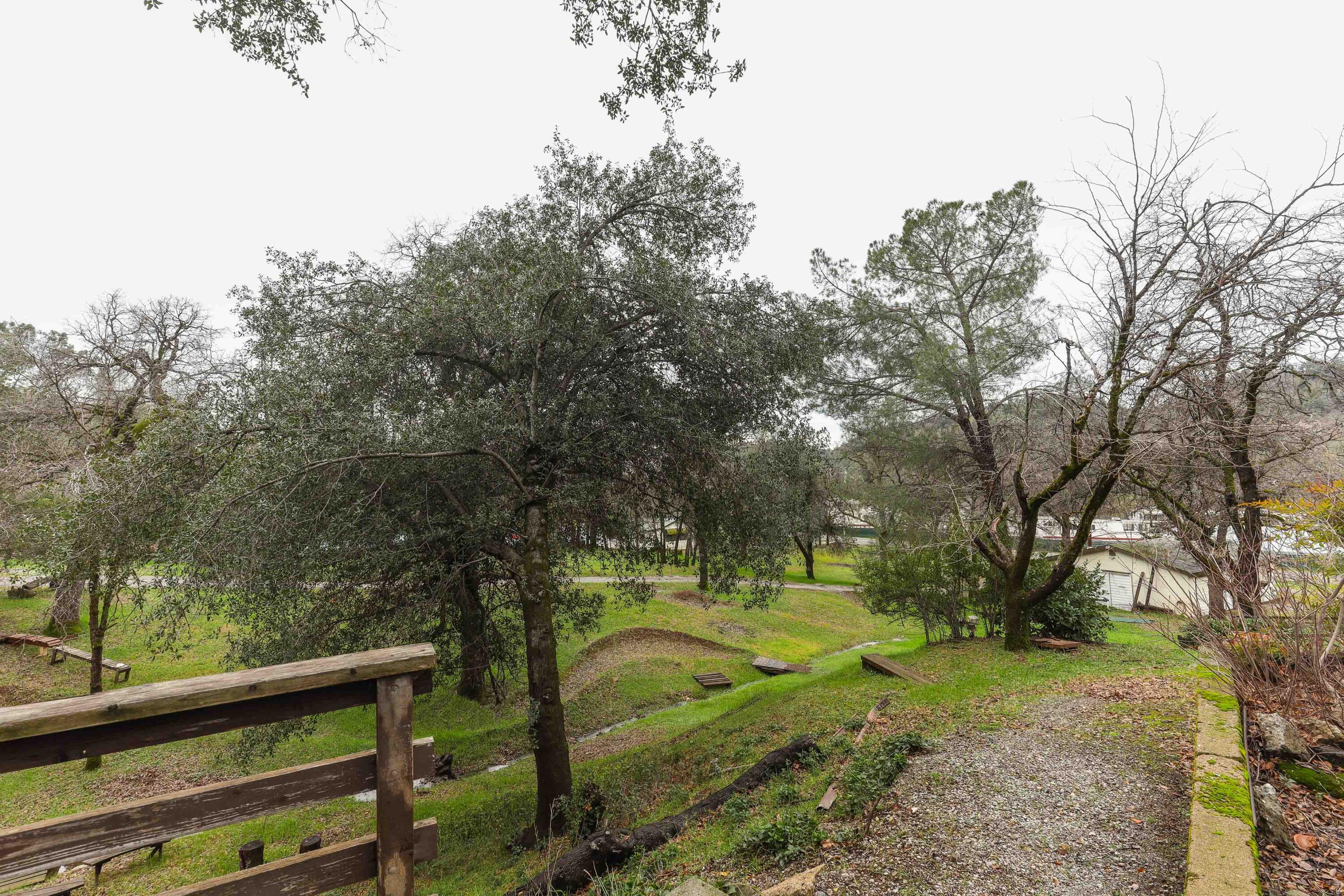 a view of a yard with large trees