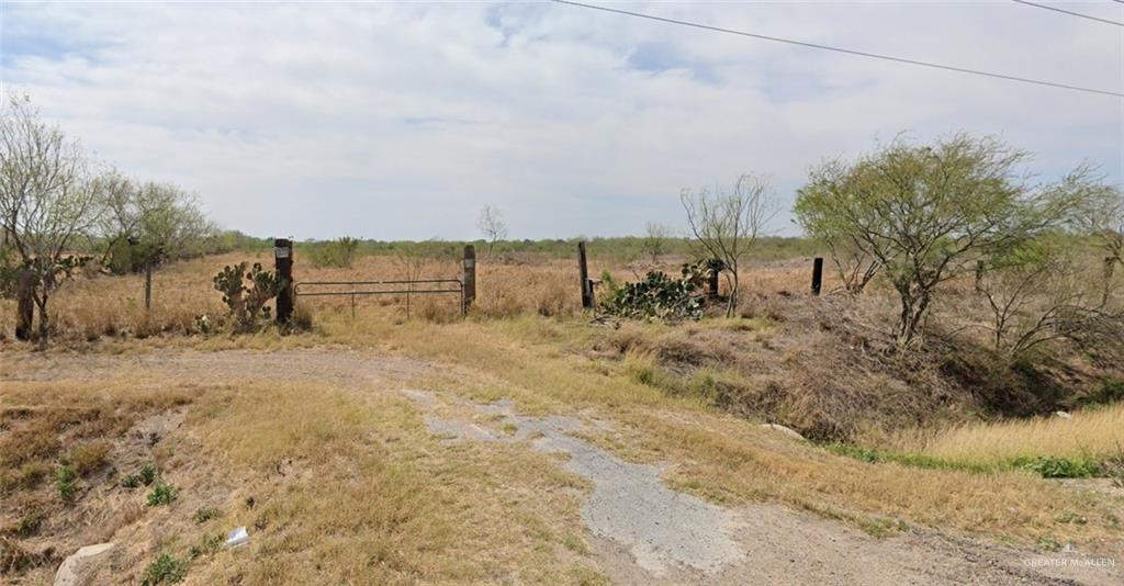 View of local wilderness with a rural view