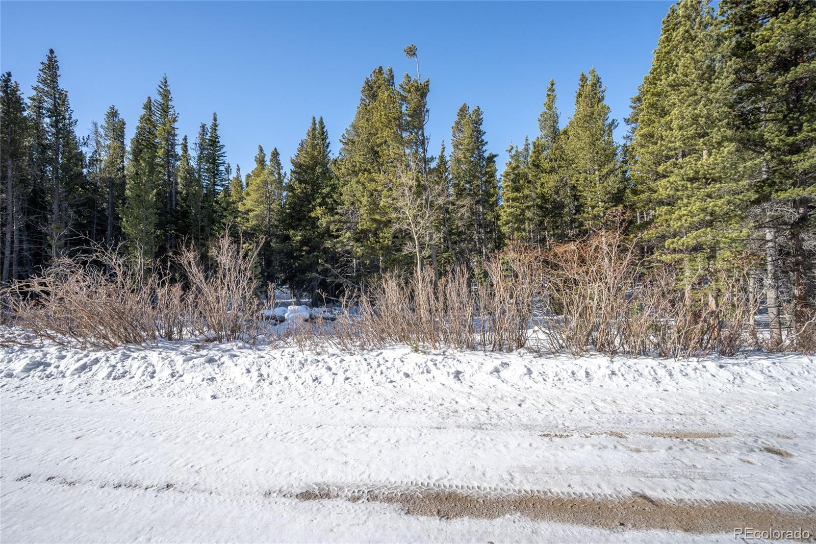 a view of a yard covered in snow