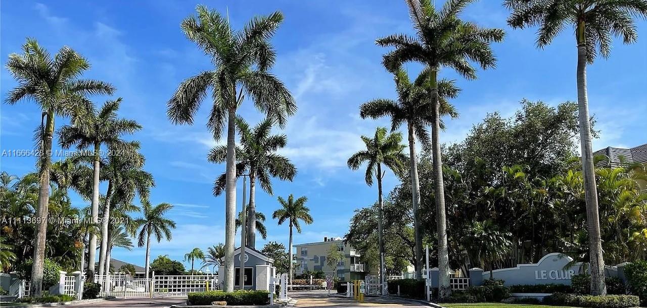 a view of a palm and palm trees