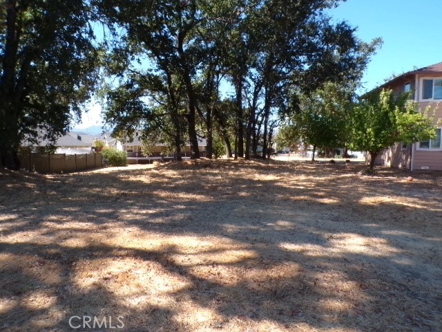 a view of road and trees