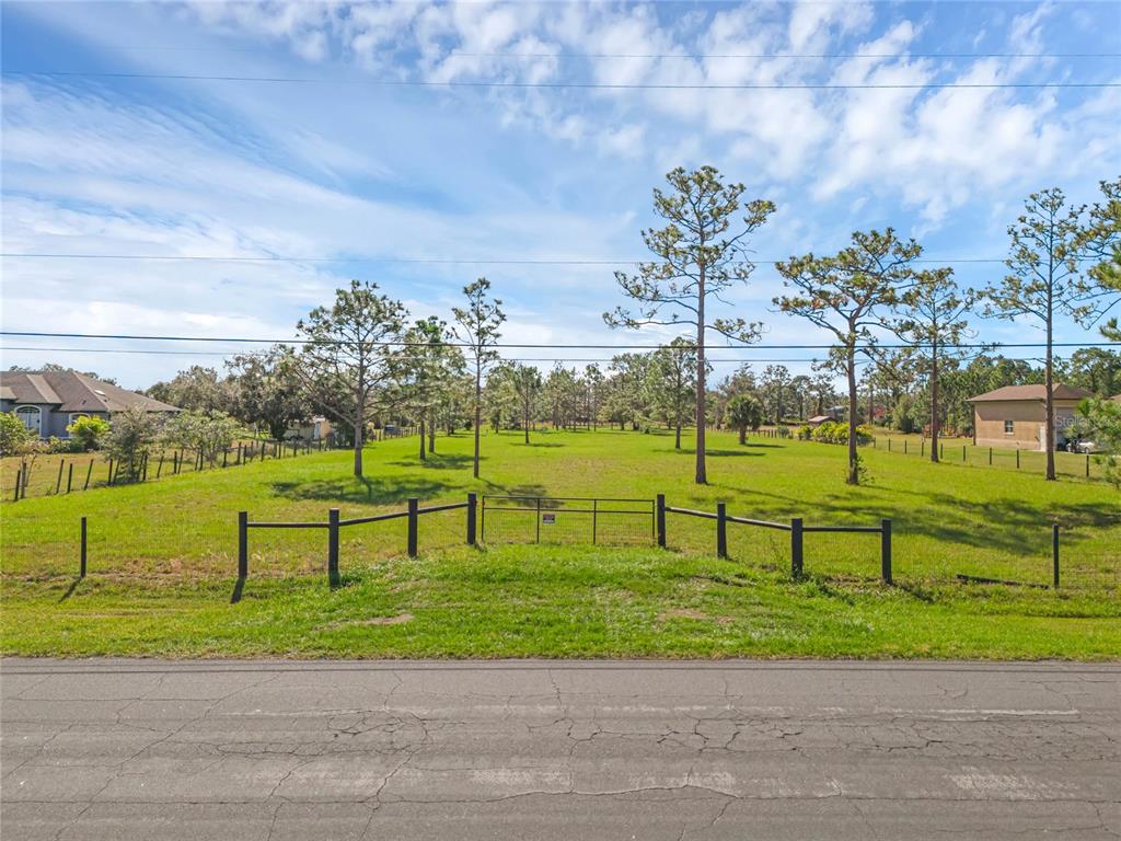 a view of a park with large trees