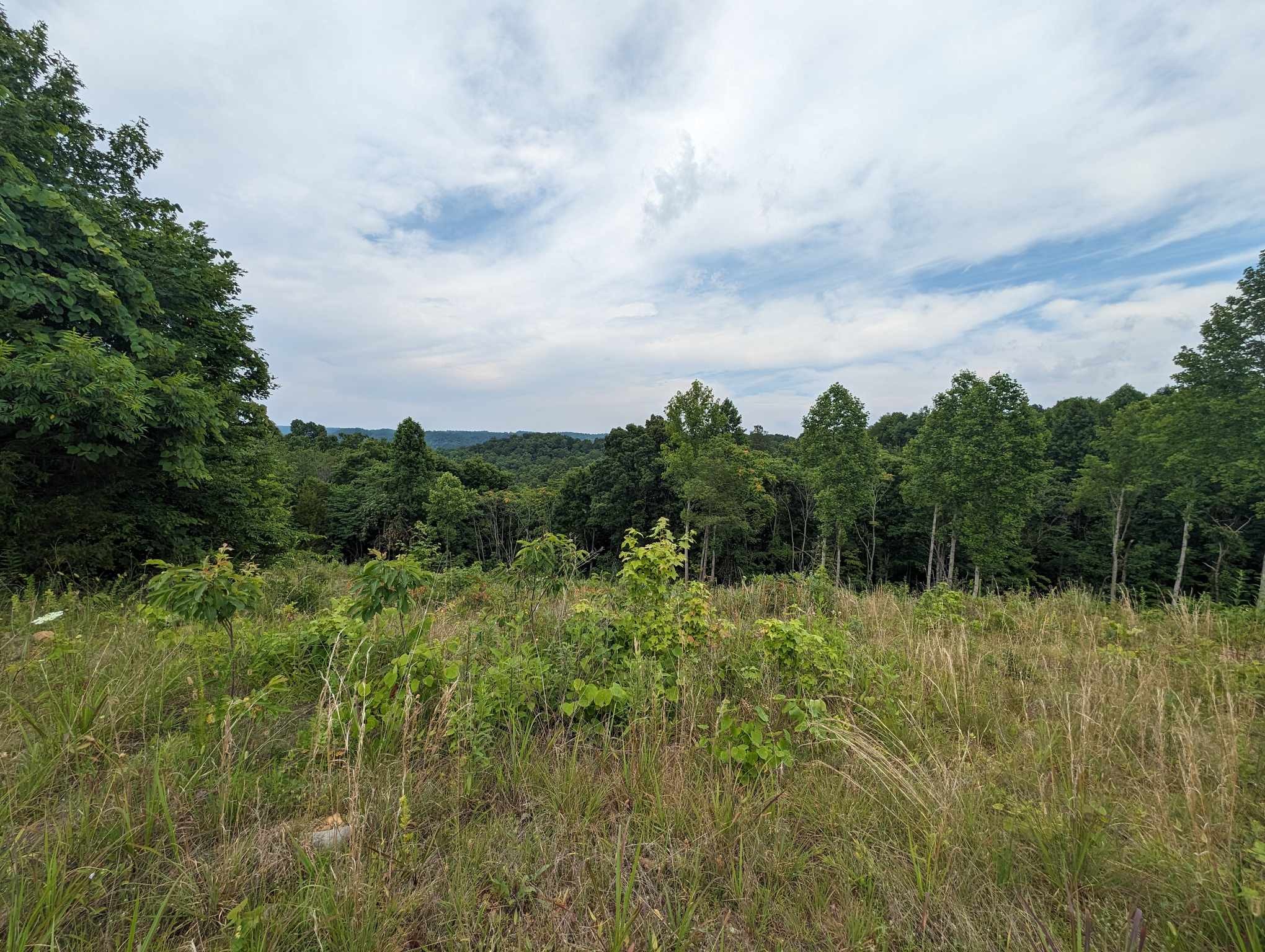 a view of a lake and green space