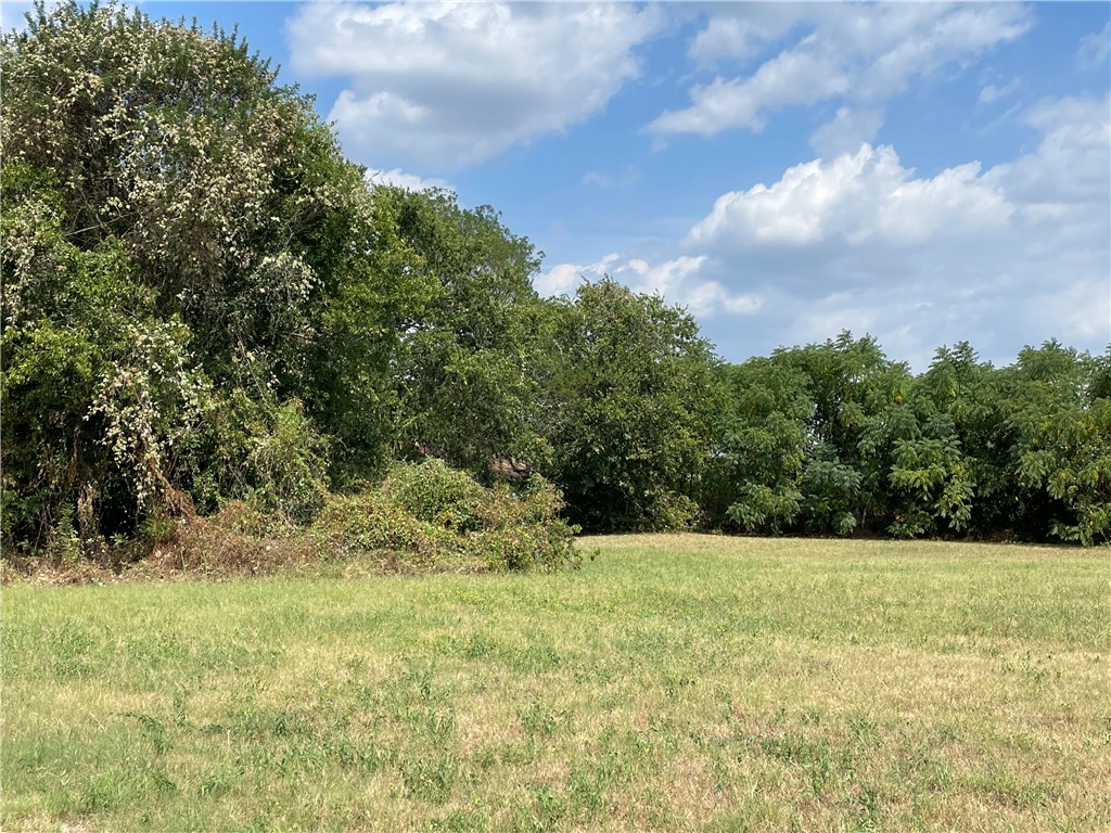 a view of a green field with wooden fence