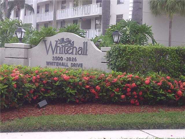 a view of a bunch of flowers and flowers in front of it