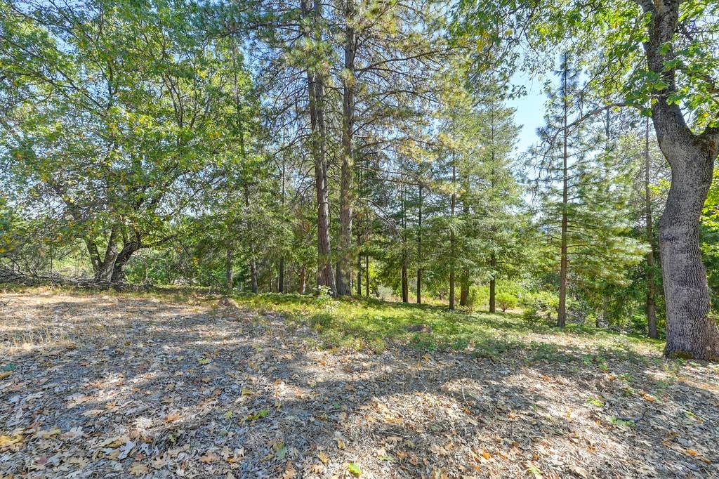 a view of outdoor space with trees