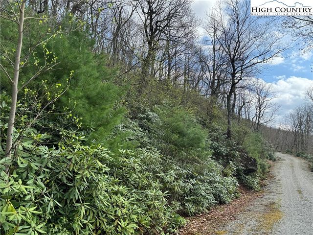 $9,500 | Lot 4 Rocky Bottom Drive | Whitehead Township - Alleghany County