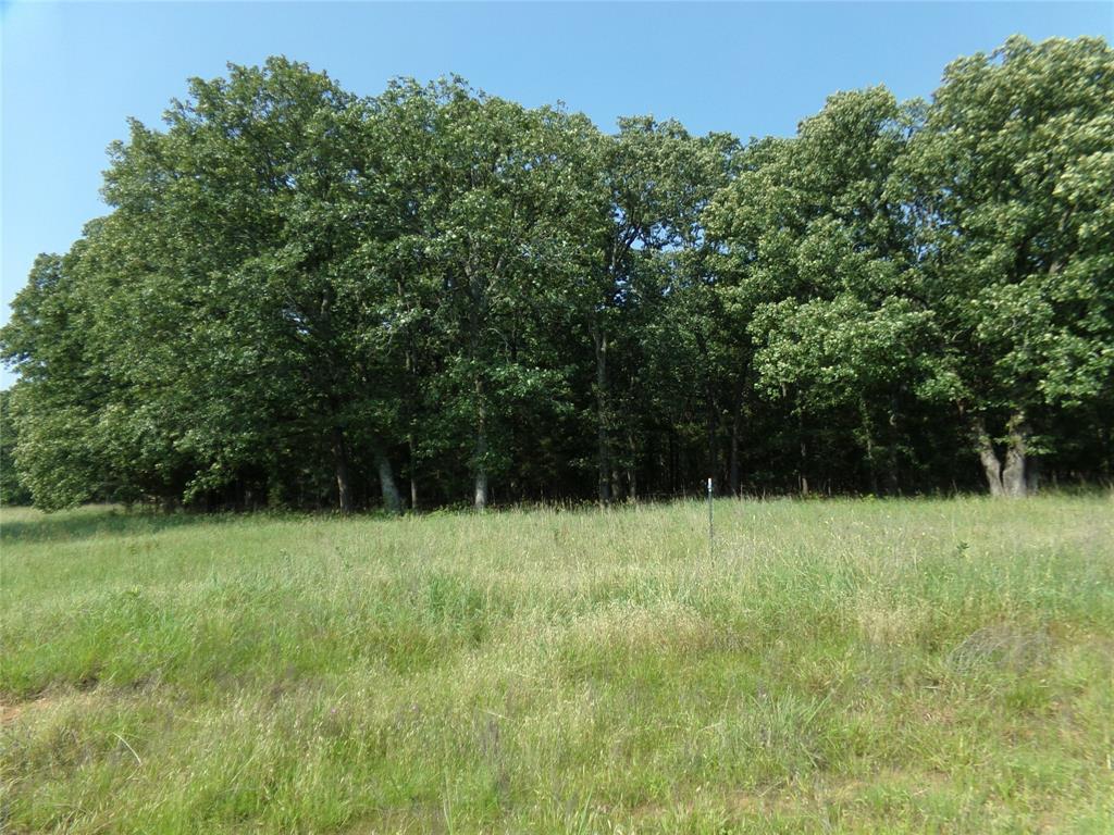 a view of empty room with green space