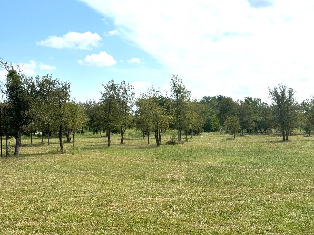 a view of outdoor space with garden view