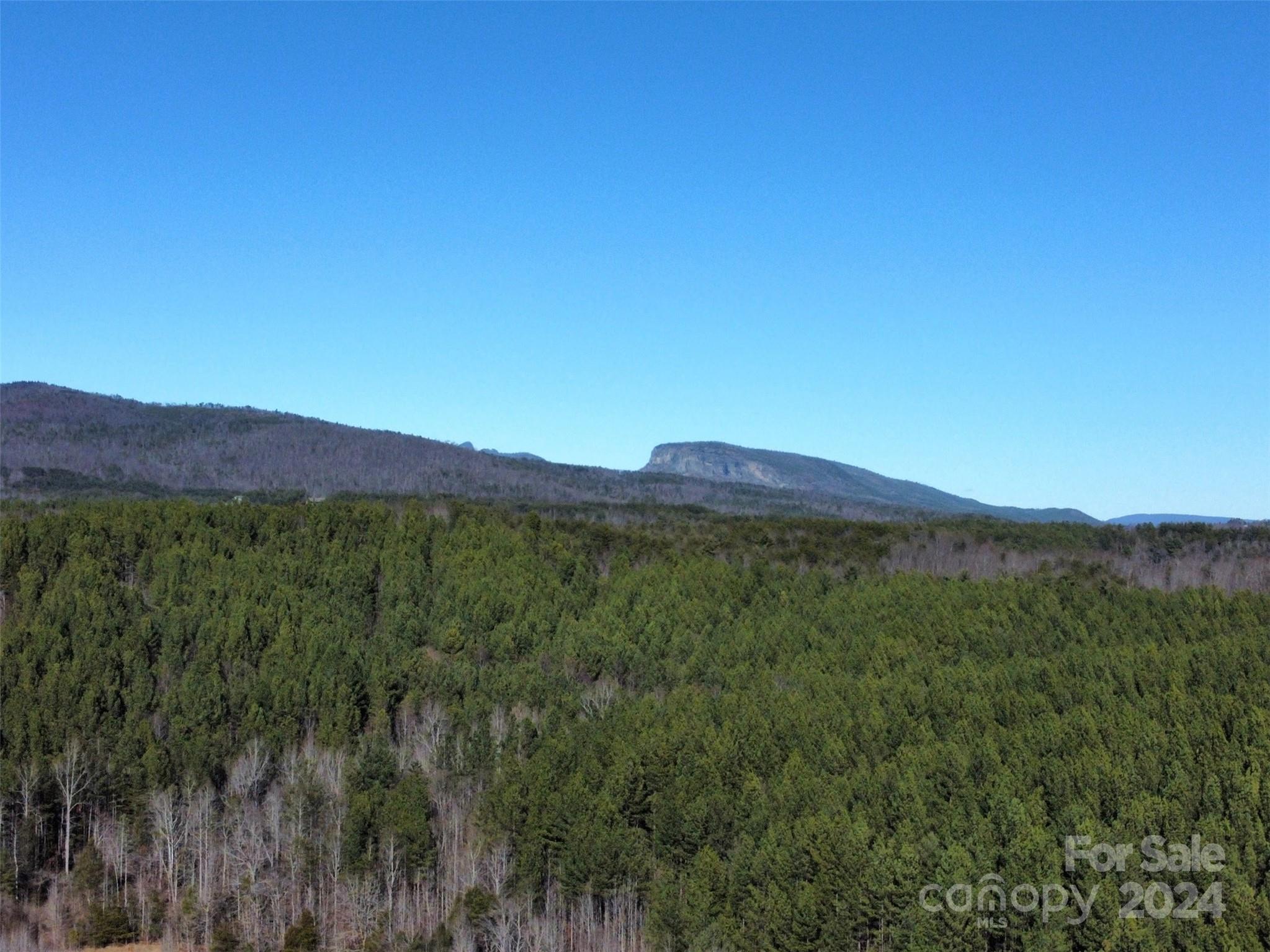 a view of a lush green forest with mountains in the background