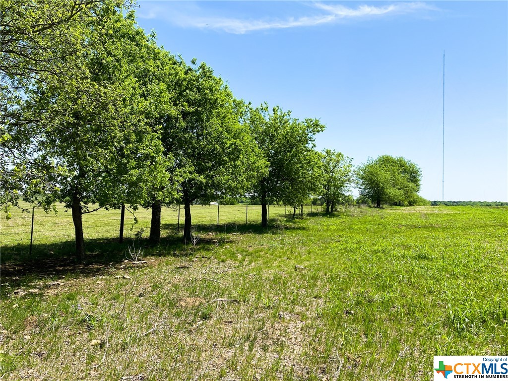 a view of a yard with a tree