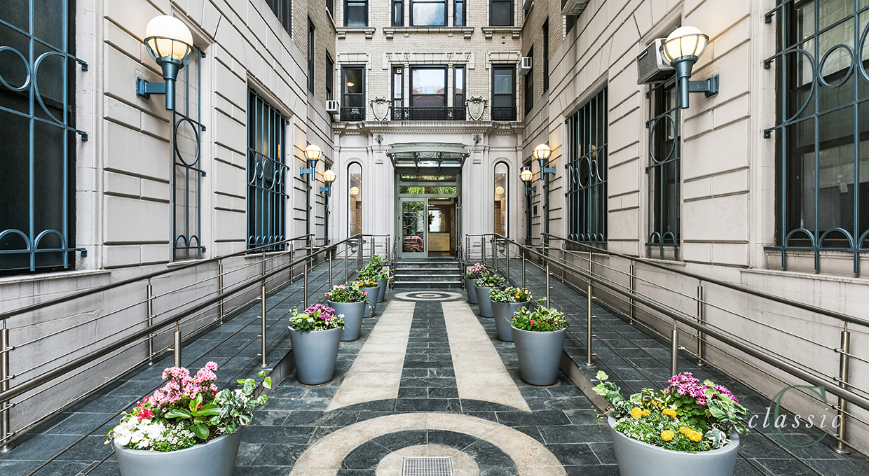 a view of a potted flower in the corridor