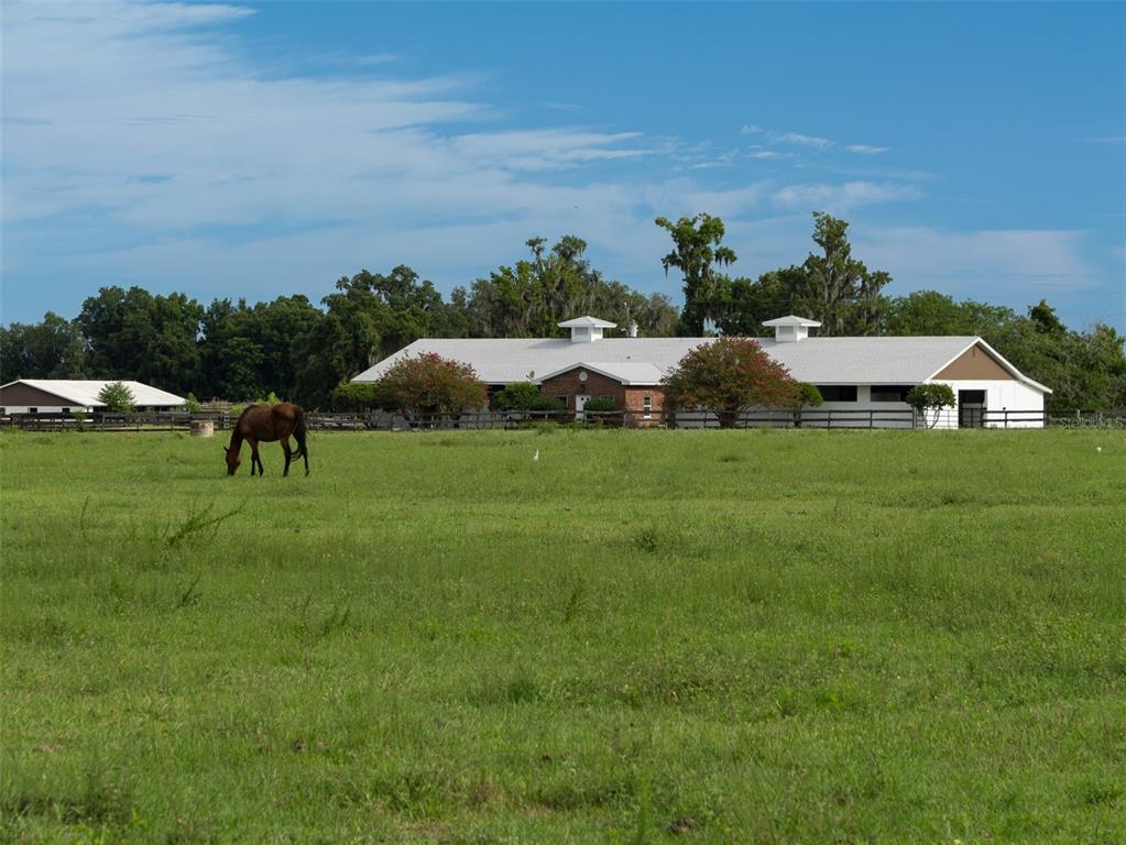 a group of people standing on a lush green field