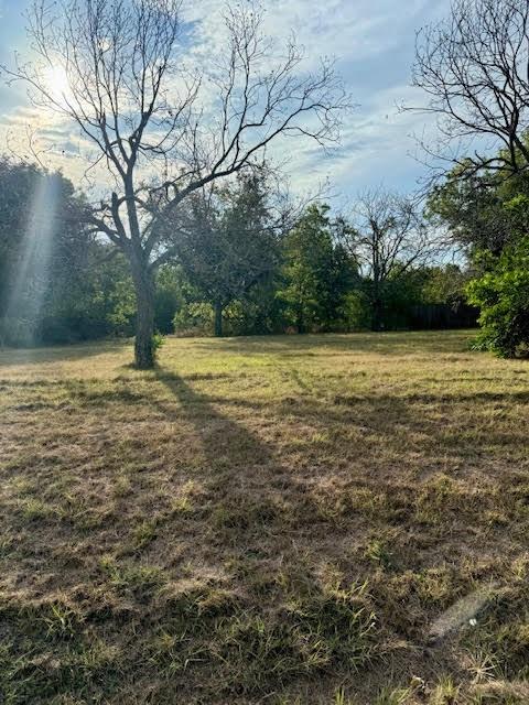 a view of a field with an trees