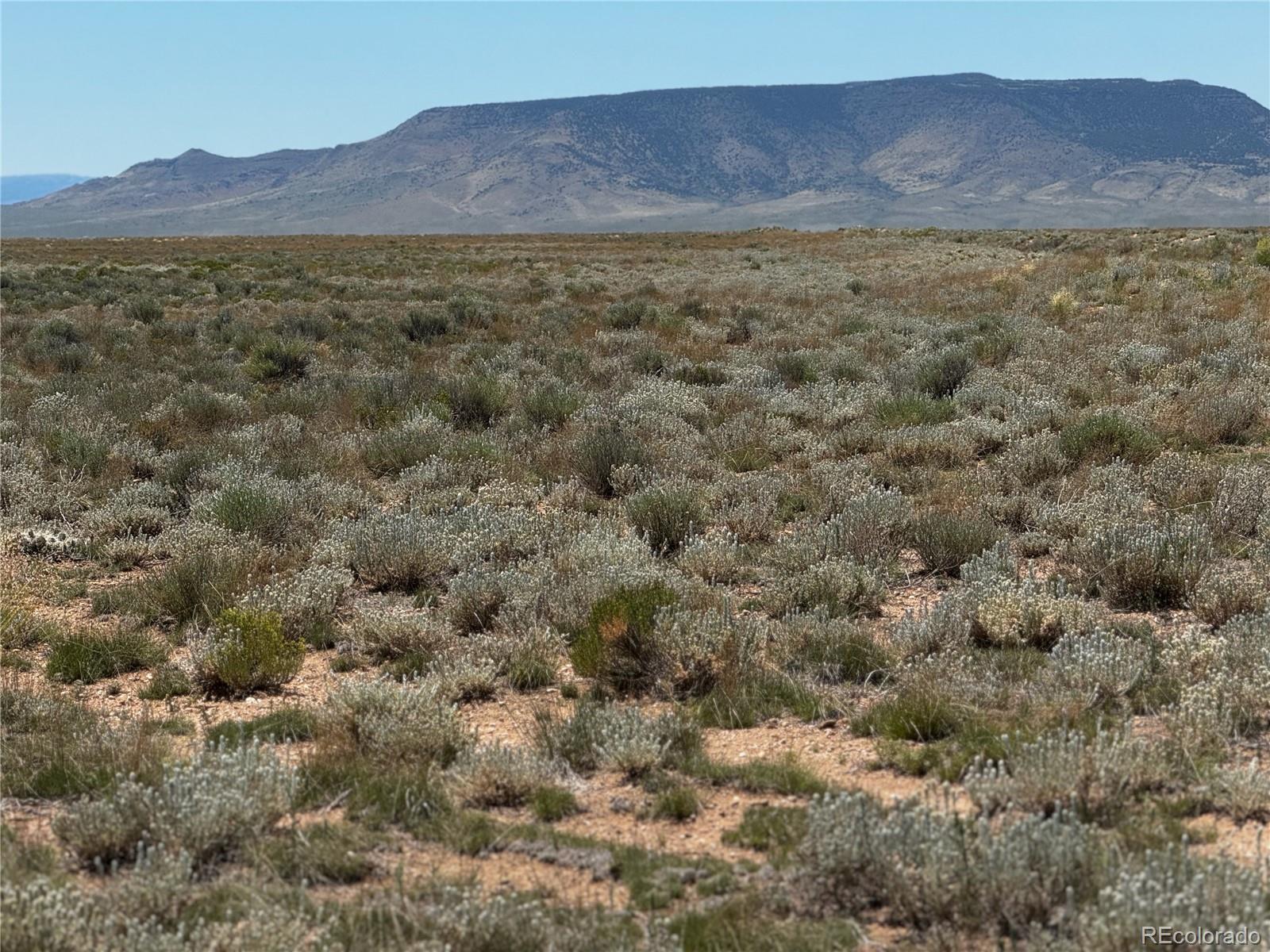 a view of a field with mountains in the background