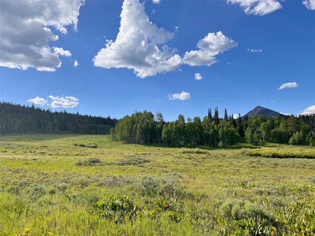 Hahn's Peak View