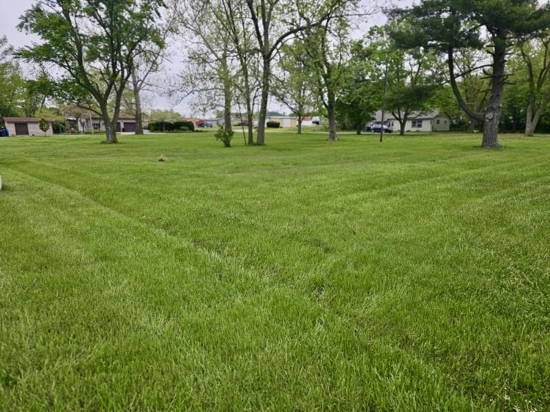 a huge green field with lots of trees