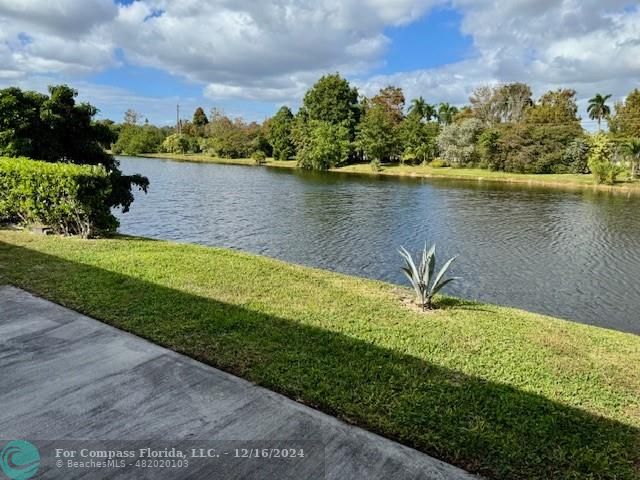 Back yard on lake