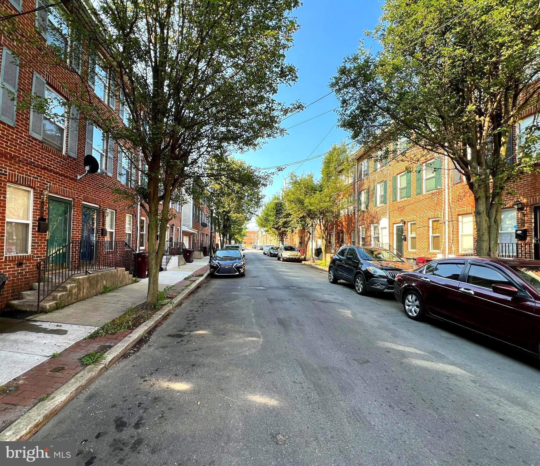 Beautiful Tree Lined Street