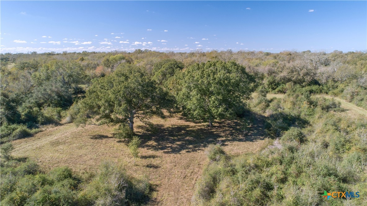 a view of a field