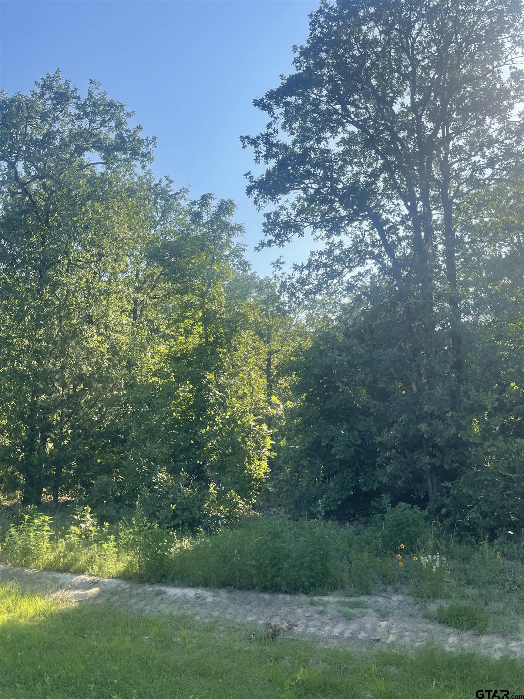 a view of a yard with a tree