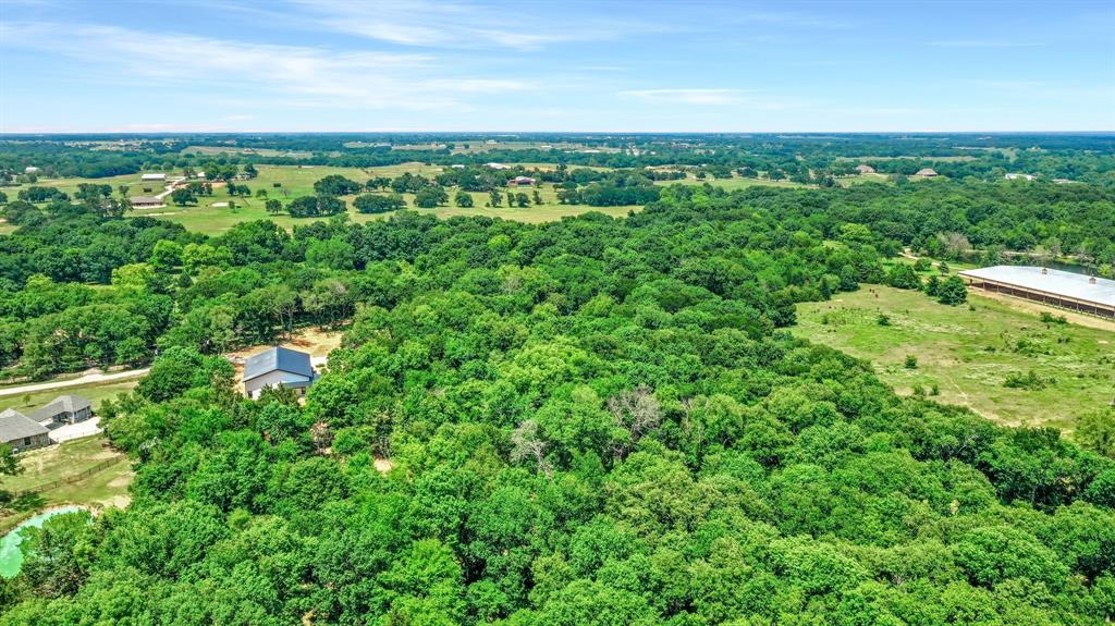 a view of a city with lush green forest