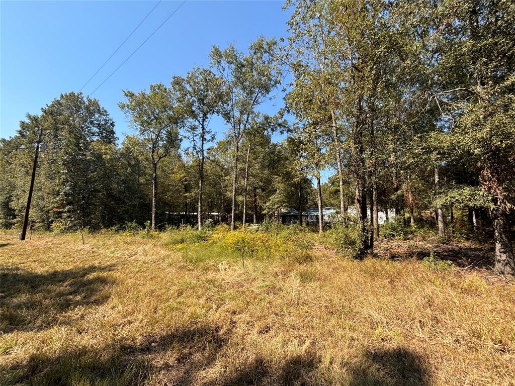 a view of yard with trees