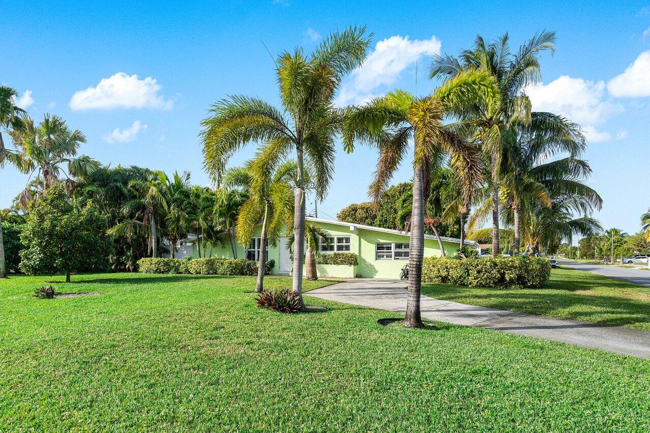 a view of a park with palm trees