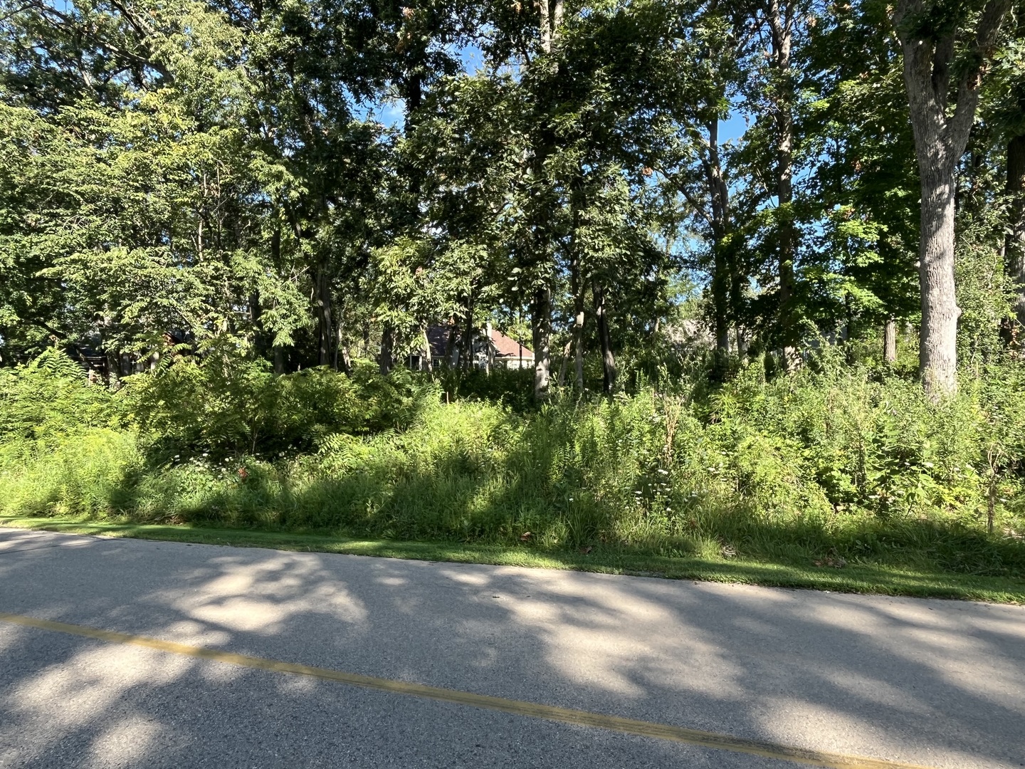 a view of a yard with a tree