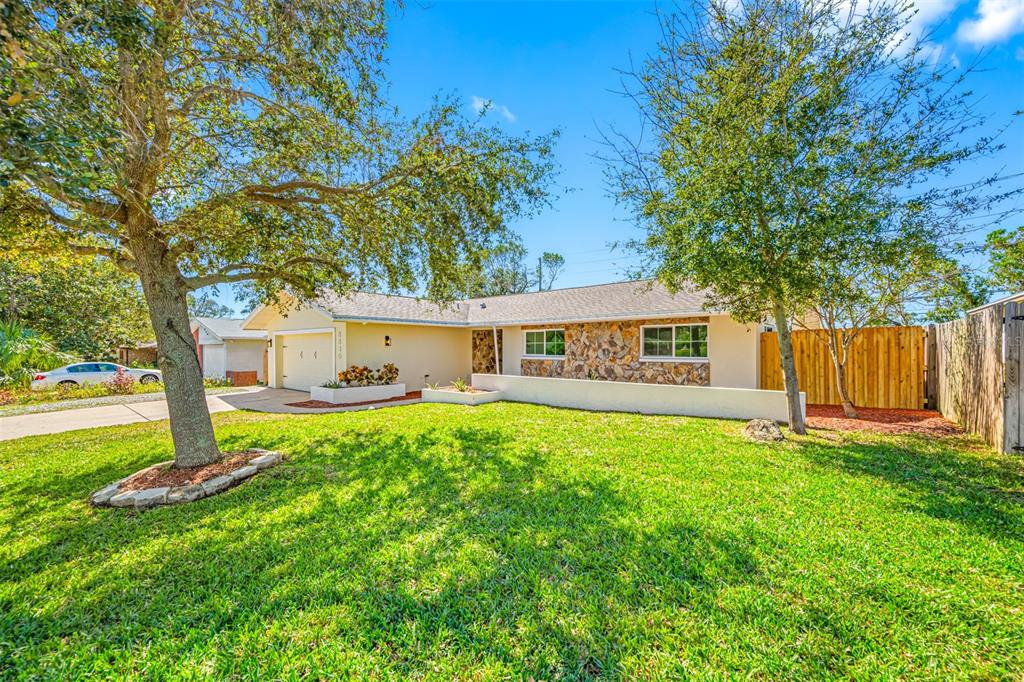 a view of a house with backyard and a tree